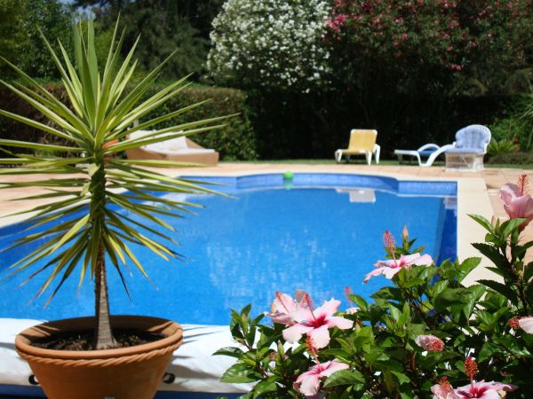 Pool Terrace Renovation in Novi