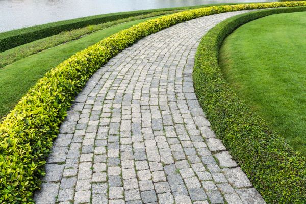 Sidewalk Pavers Installation in Novi