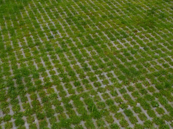 Permeable Pavement Service in Novi